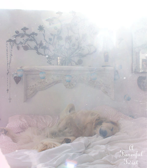 Paper flowers 16 Paper flowers 16