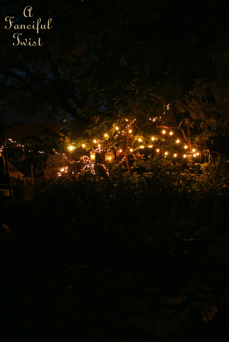 Summer magic 14 Summer magic 14