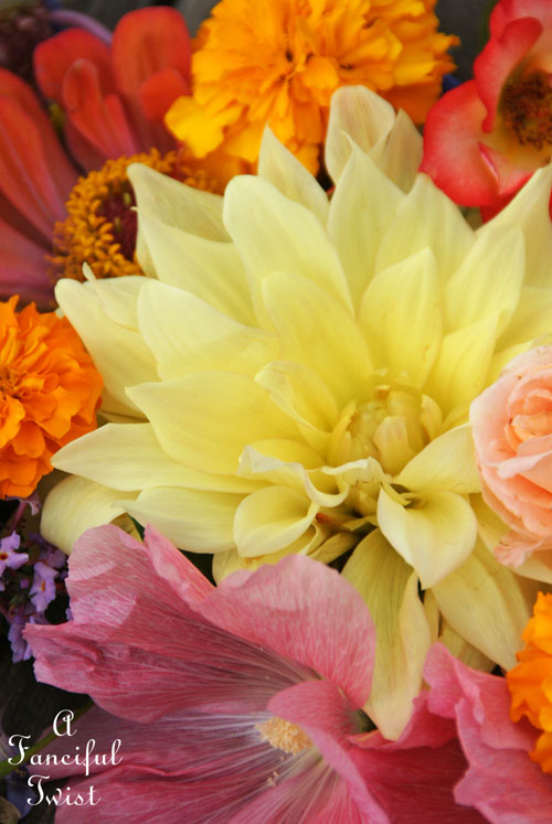 Summer flowers 3 Summer flowers 3