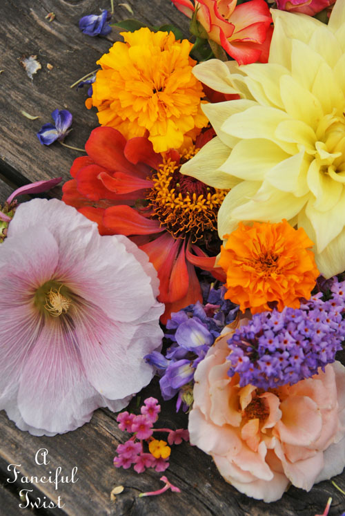 Summer flowers 7 Summer flowers 7