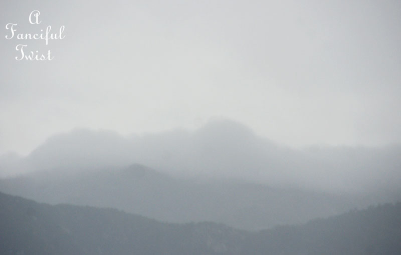 Rain flower 5 Rain flower 5