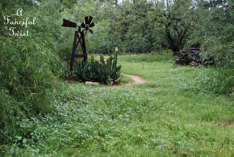 Rain flower 11 Rain flower 11