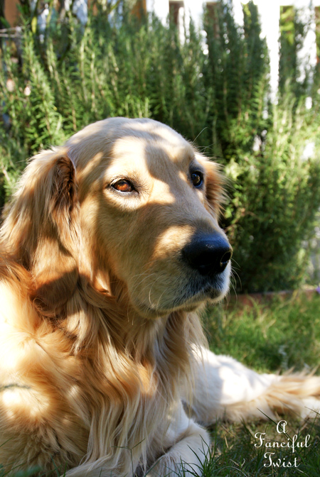 Ballerinas and days 6 Ballerinas and days 6