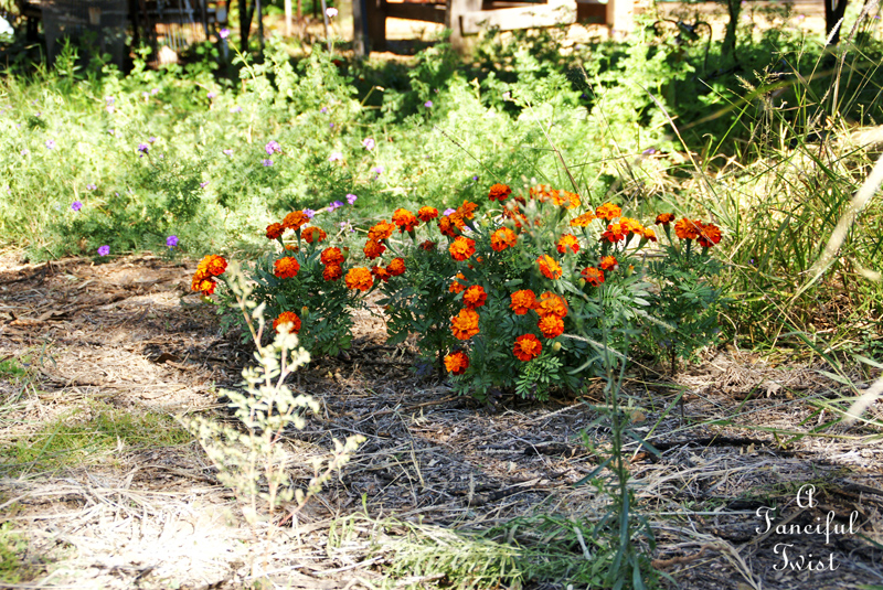 Ballerinas and days 14 Ballerinas and days 14