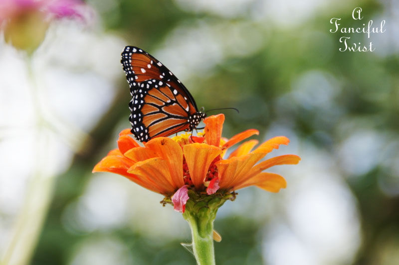 Welcome november 2 Welcome november 2