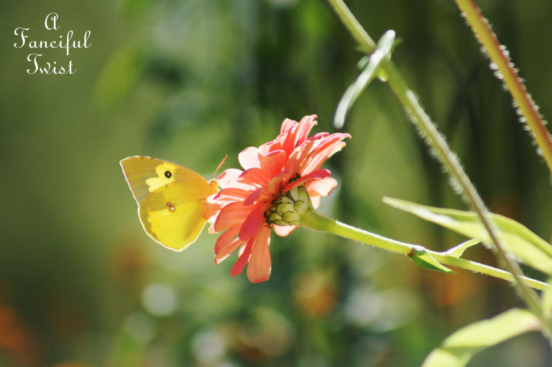 Welcome november 7 Welcome november 7