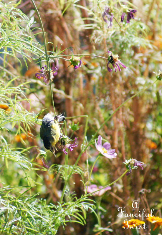 Welcome november 10 Welcome november 10