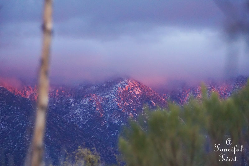 Fairy lights 1 Fairy lights 1