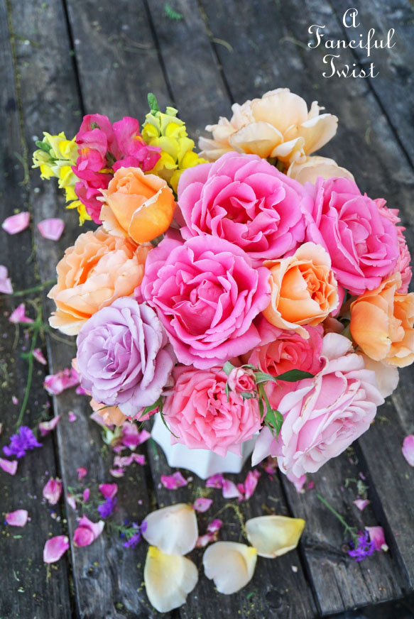 Colorful 11 Colorful 11