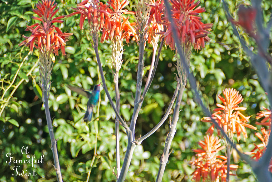 Colorful 7 Colorful 7