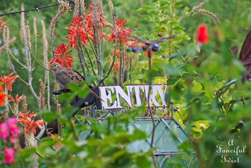 Colorful 34 Colorful 34