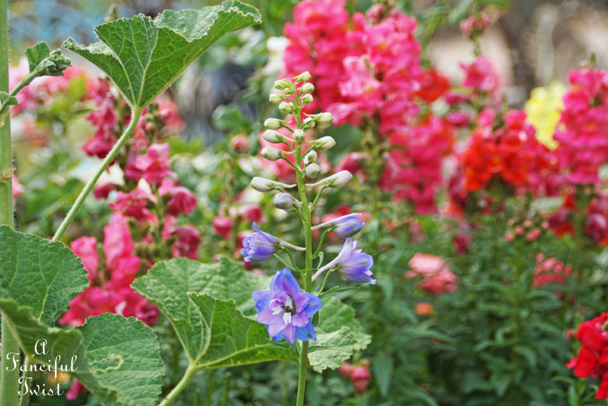 Colorful 26 Colorful 26