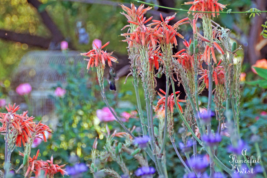 Colorful 13 Colorful 13