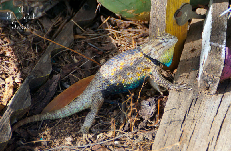 Moon and monsoon 6 Moon and monsoon 6