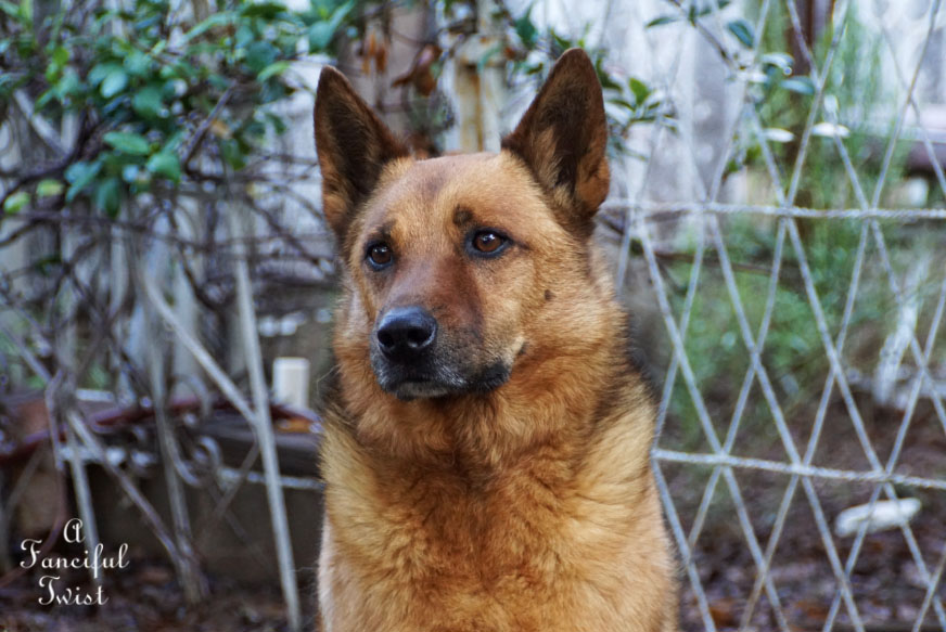 Moon and monsoon 16 Moon and monsoon 16