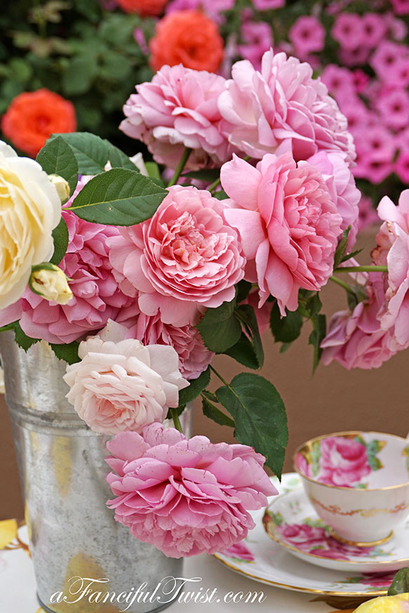 Styling the seasons 2 Styling the seasons 2