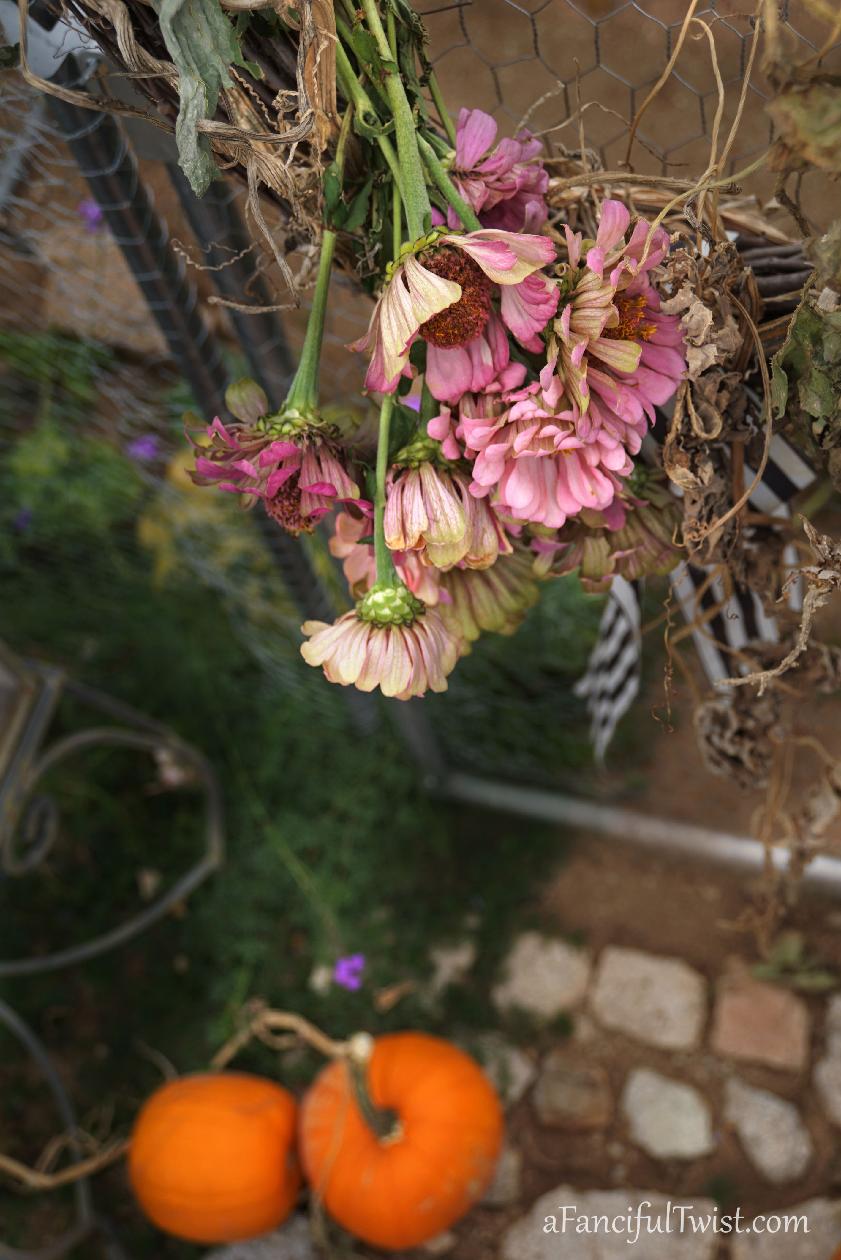 Hope garden 5 Hope garden 5