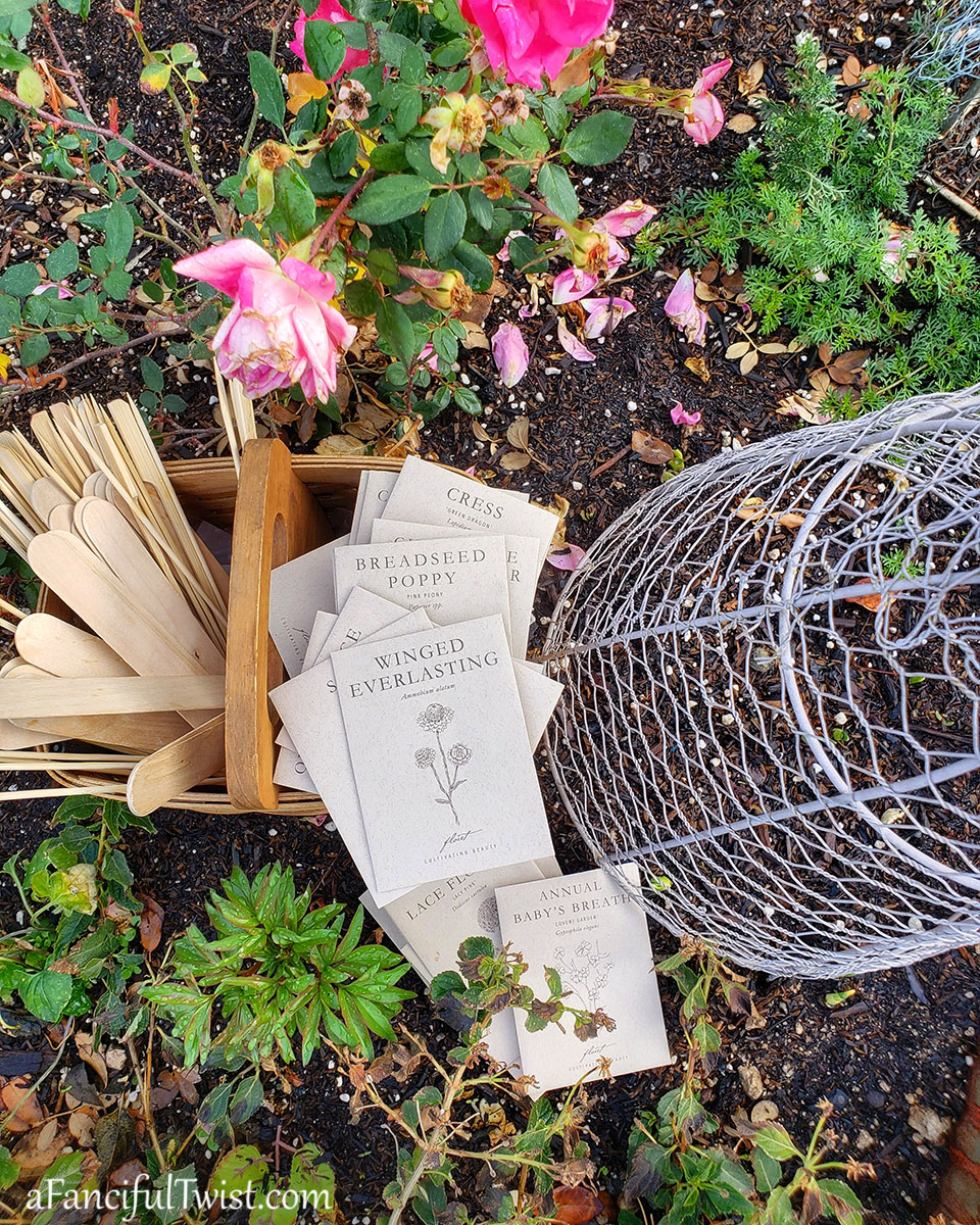 Cozy days 14 Cozy days 14