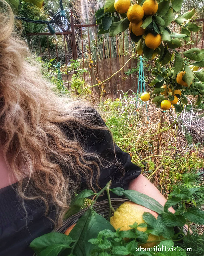 Cozy days 6 Cozy days 6