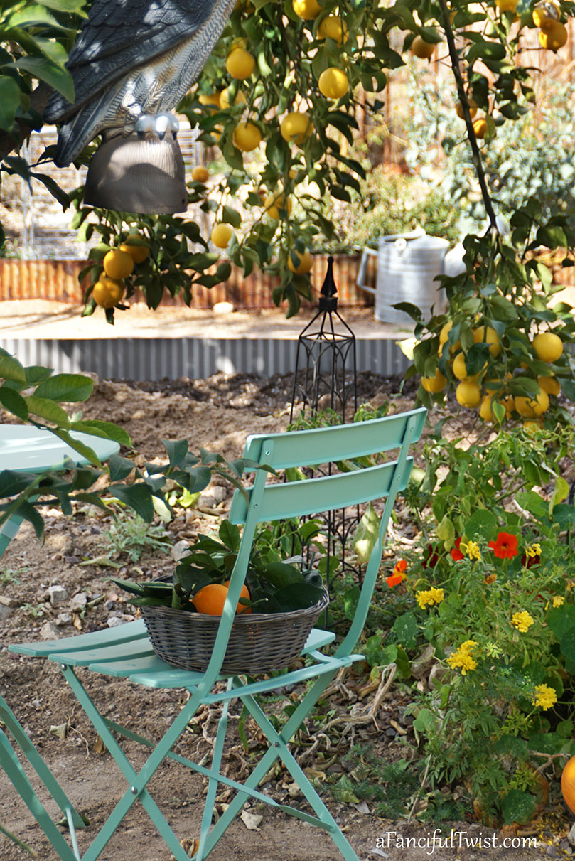 Winter garden 1 Winter garden 1