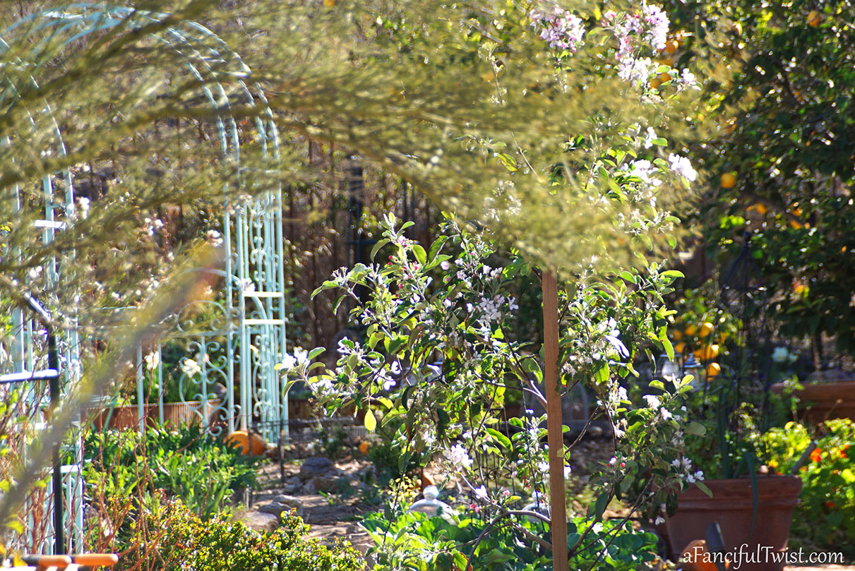 Apple spring 24 Apple spring 24