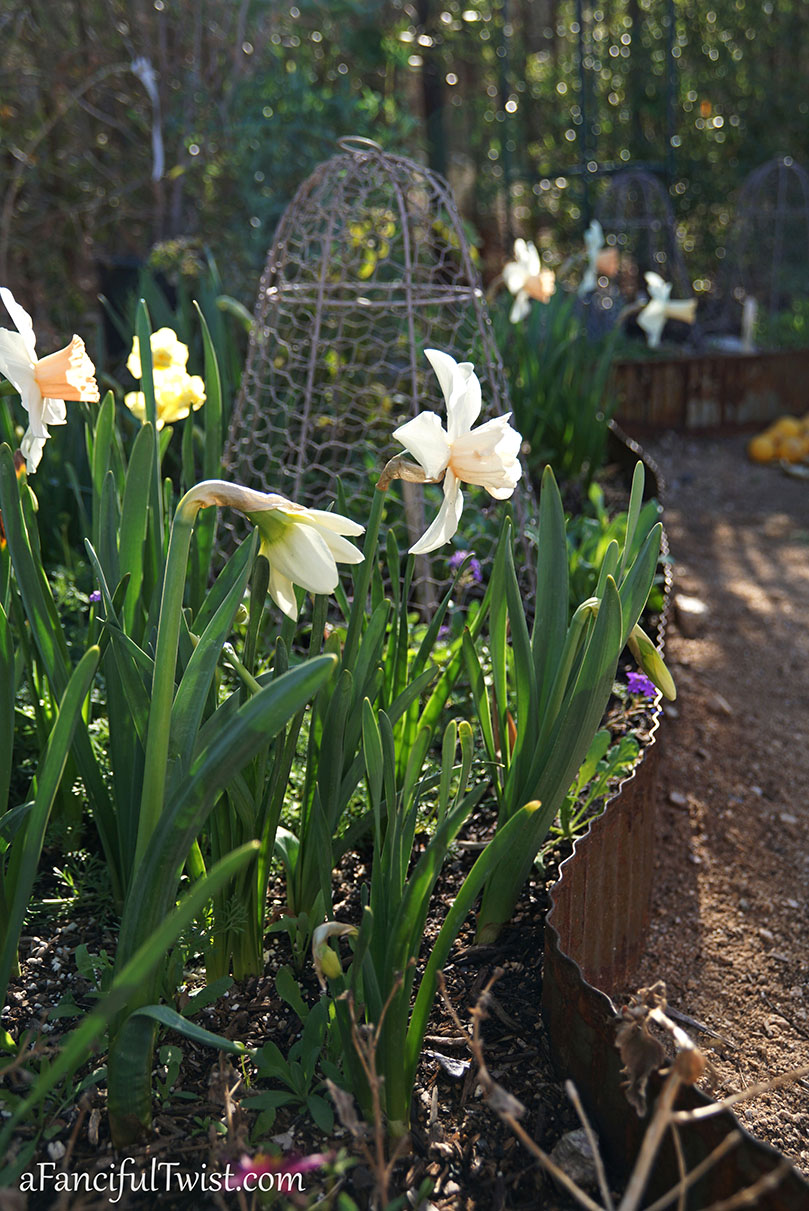 Apple spring 7 Apple spring 7