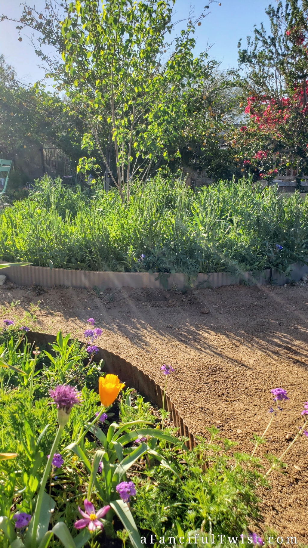 PhotoGrid_1618000114074 PhotoGrid_1618000114074