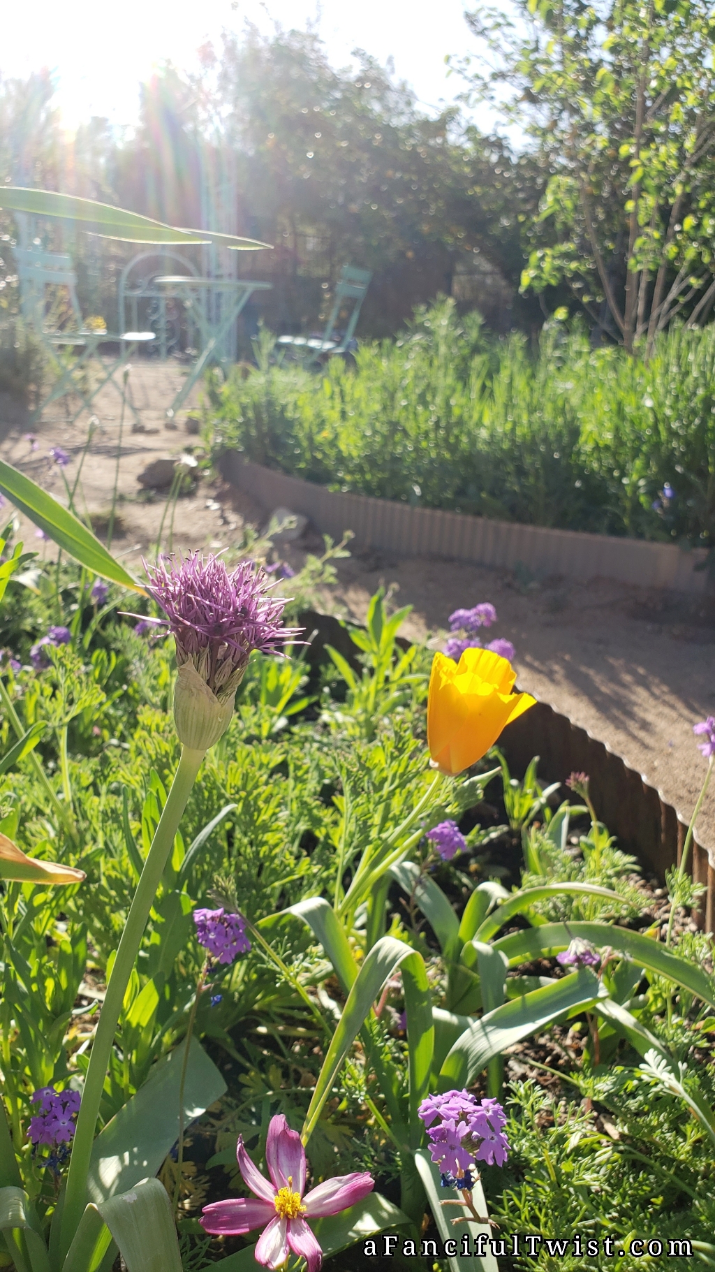 PhotoGrid_1618000163654 PhotoGrid_1618000163654