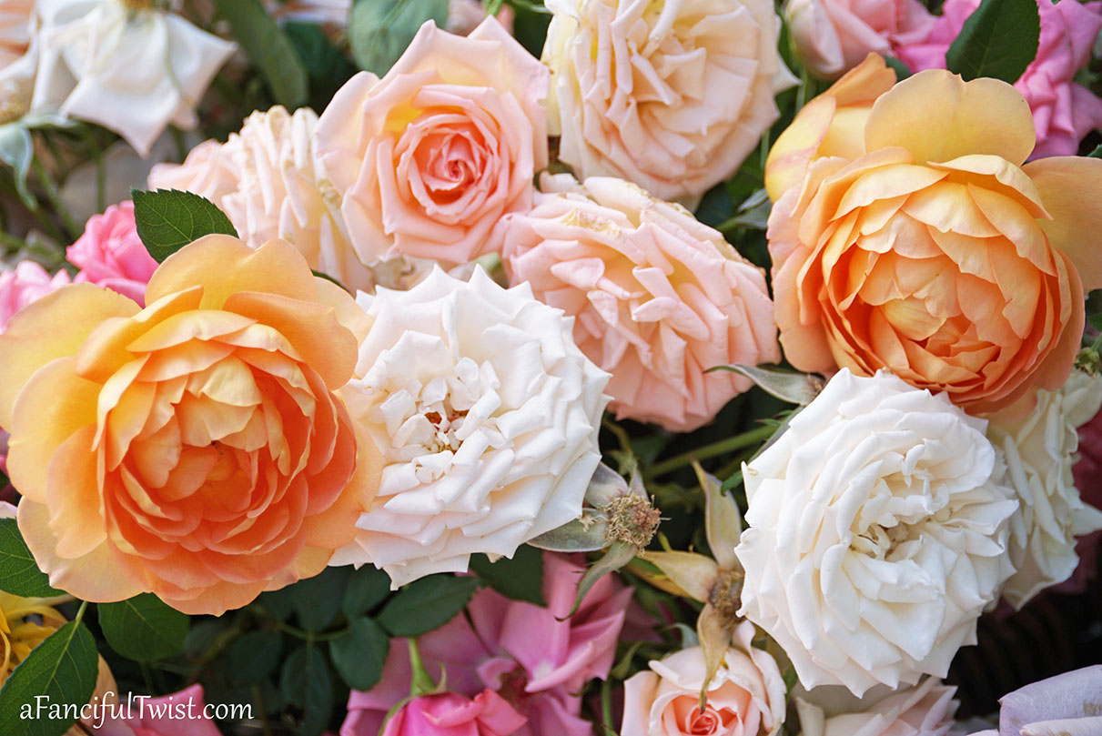 Cottage core dreams 18 Cottage core dreams 18