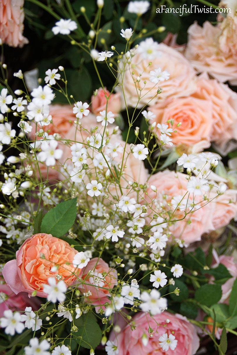 Cottage core dreams 23 Cottage core dreams 23