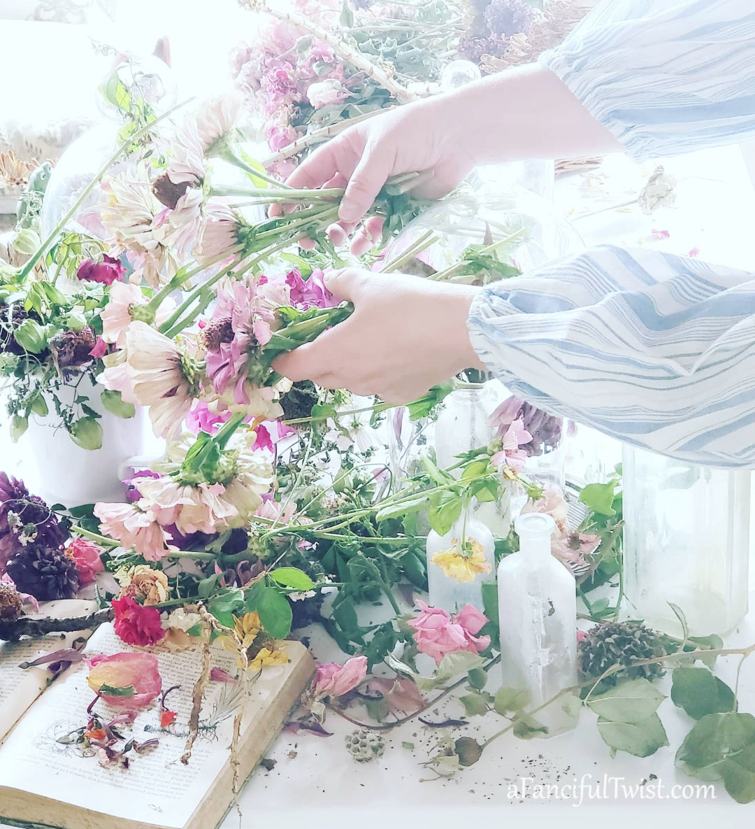 Hope garden 12 Hope garden 12