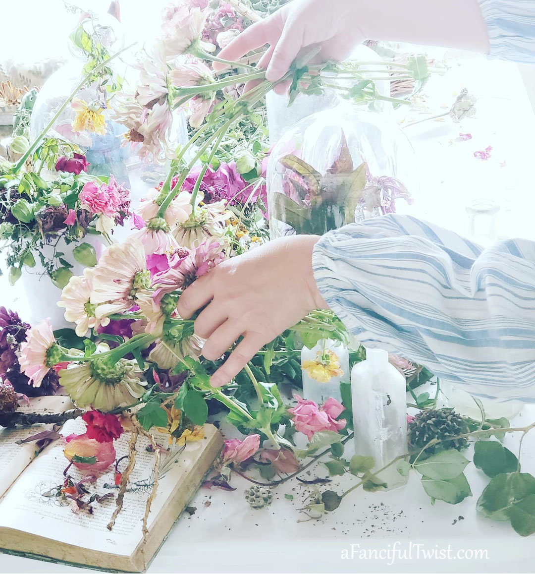 Hope garden 11 Hope garden 11