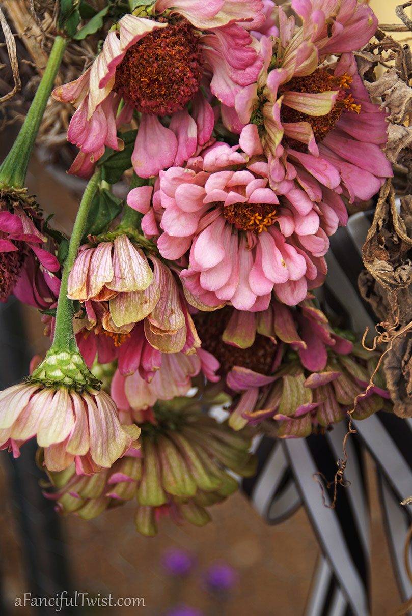 Hope garden 8 Hope garden 8