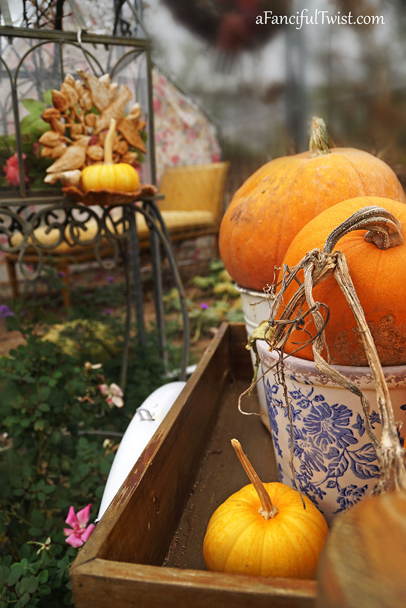 Hope garden 9 Hope garden 9