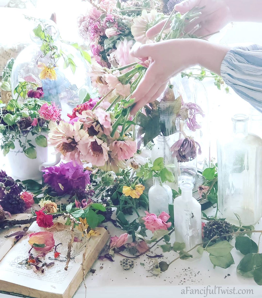 Hope garden 13 Hope garden 13