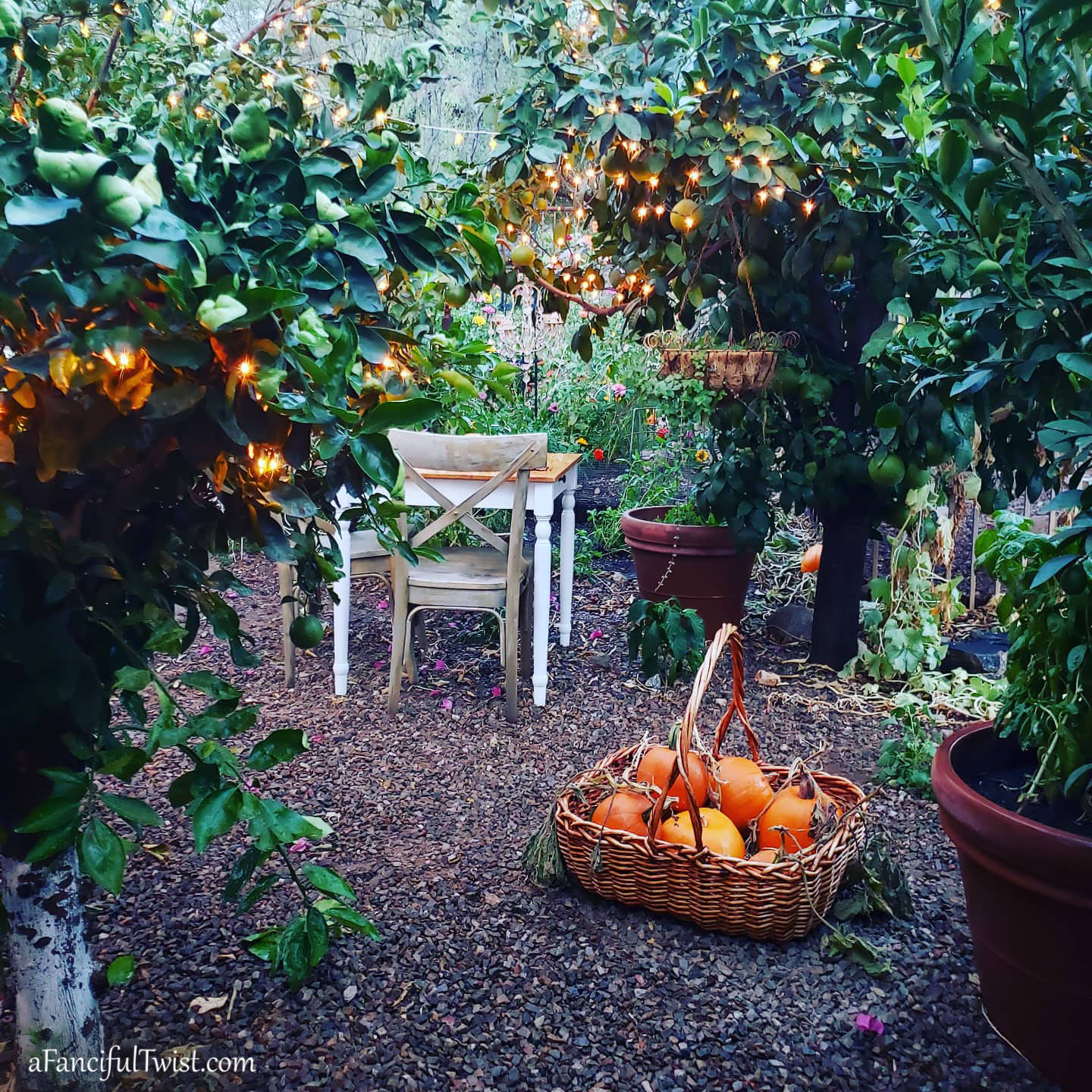 Hope garden 15 Hope garden 15