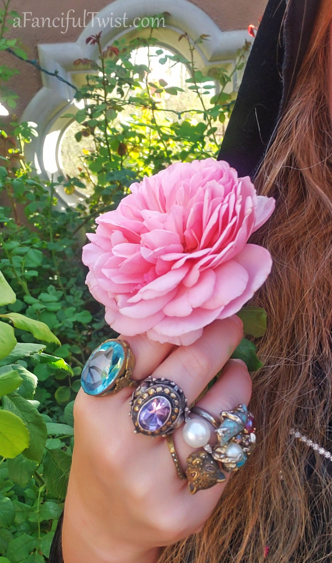 Hope garden 14 Hope garden 14