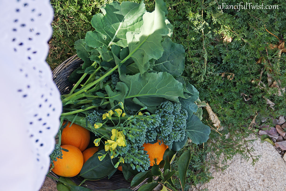 Winter garden 8 Winter garden 8