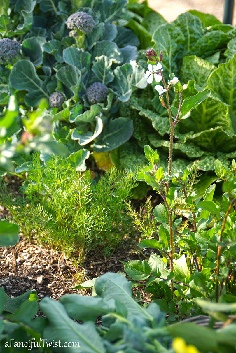 Winter garden 18 Winter garden 18