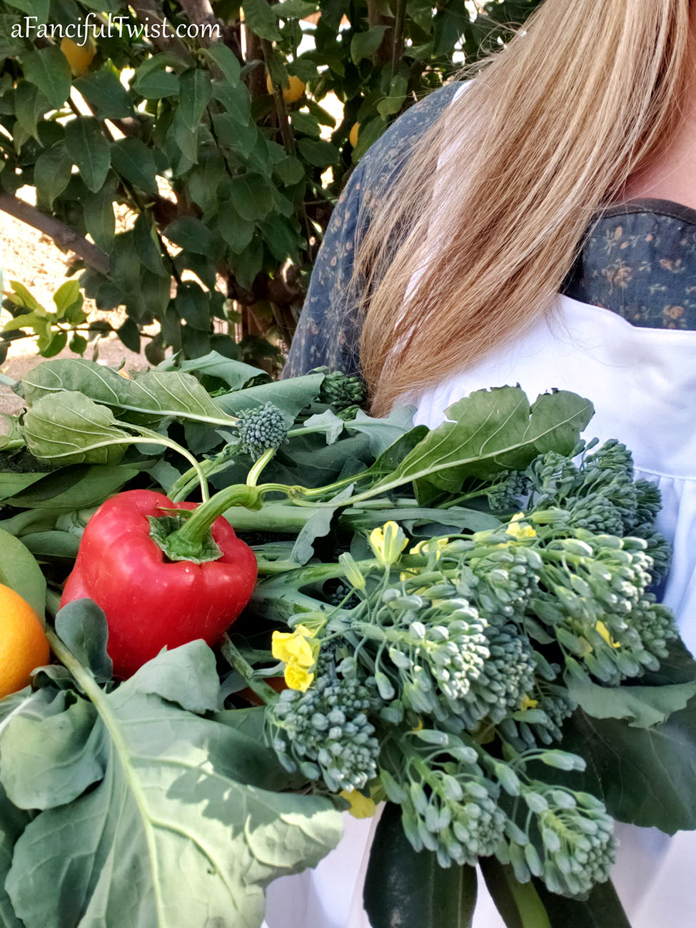 Winter garden 22 Winter garden 22