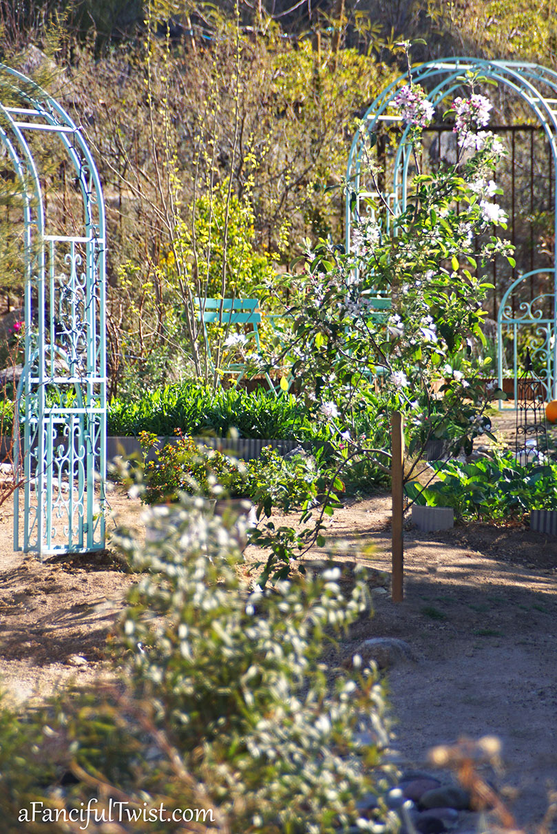 Apple spring 22 Apple spring 22