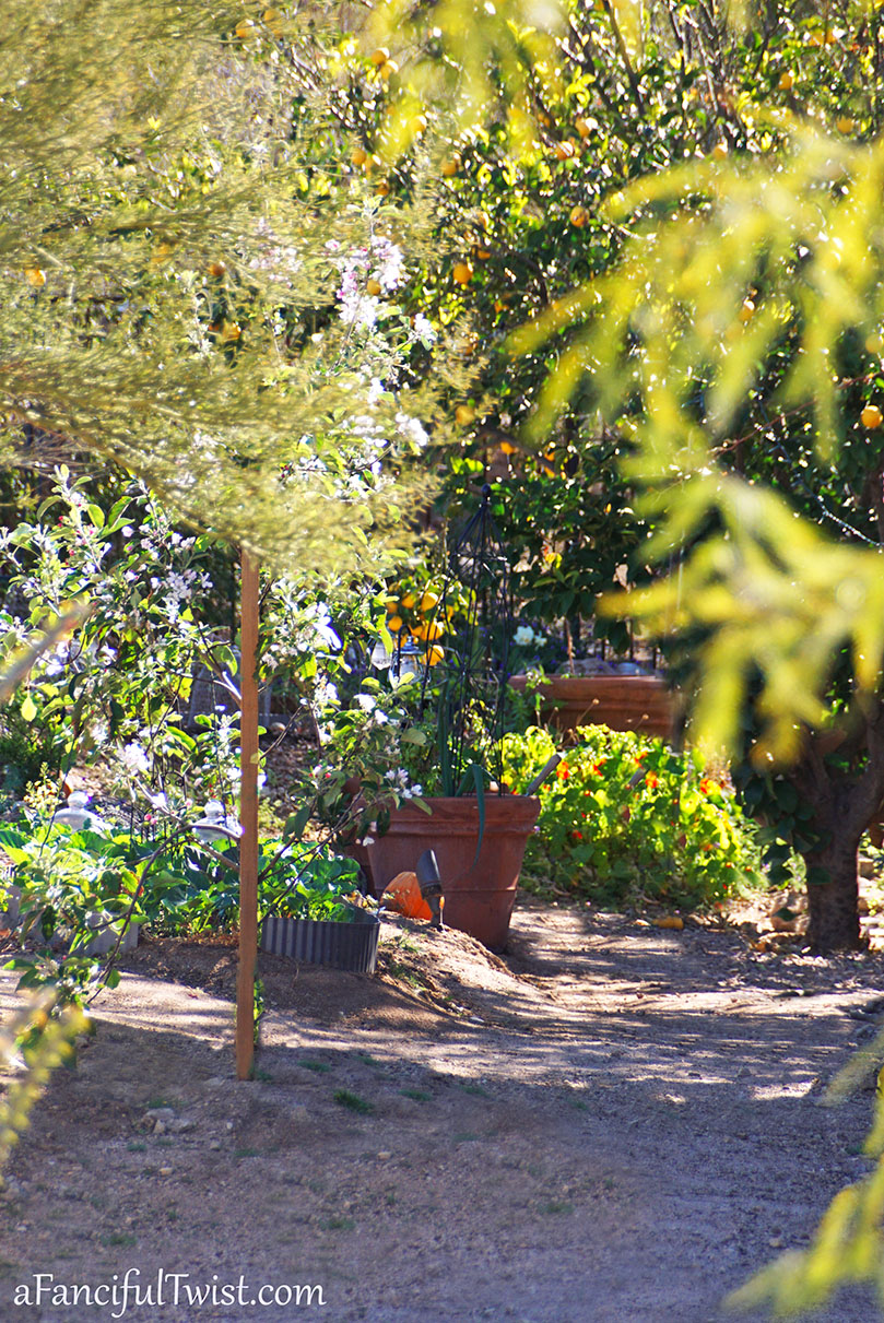 Apple spring 23 Apple spring 23