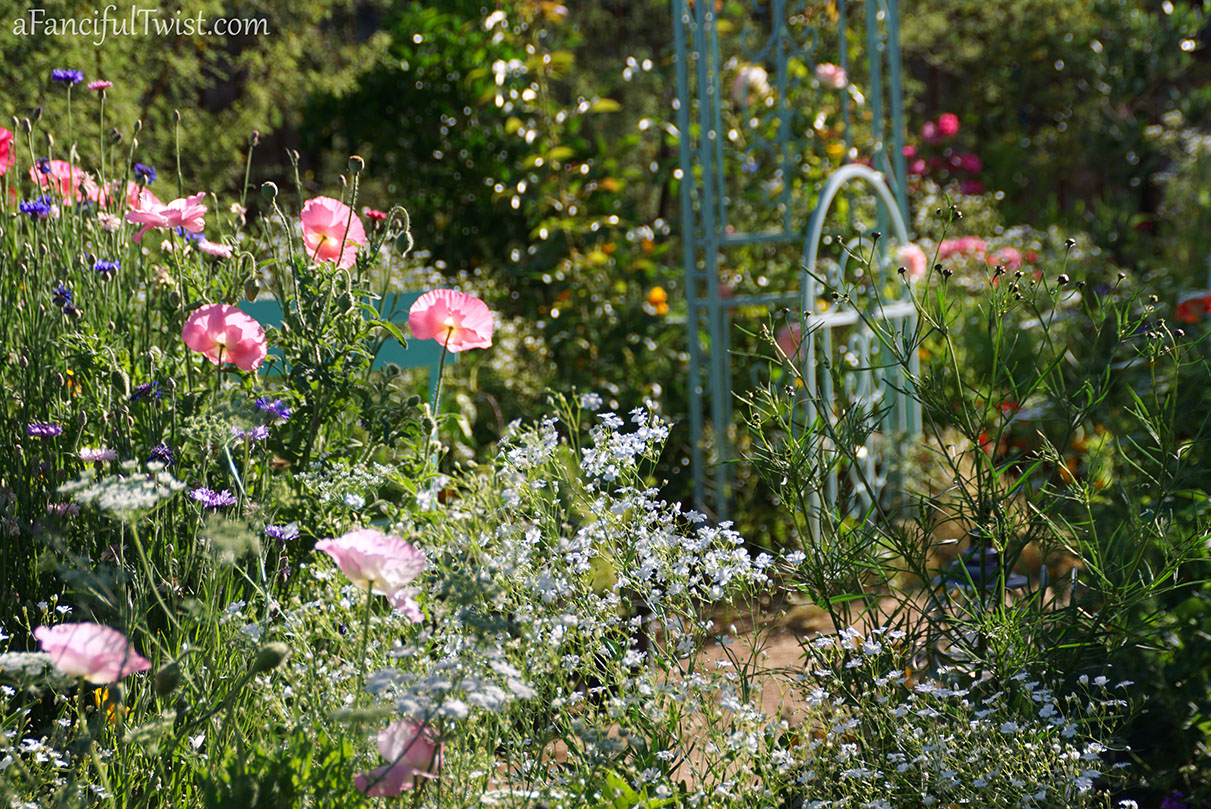 Secret garden 42 Secret garden 42