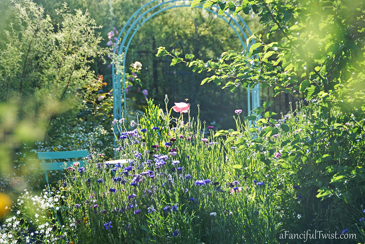 Secret garden 26 Secret garden 26