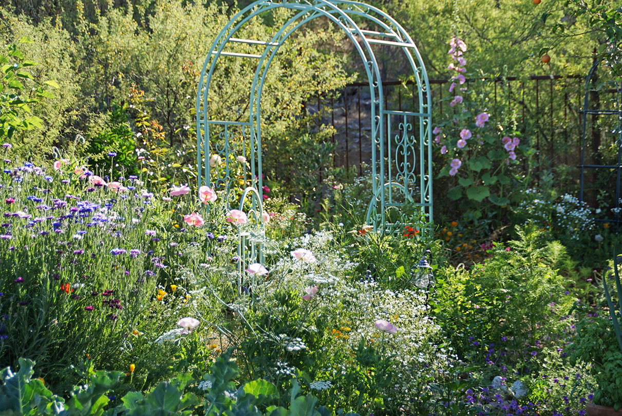 Secret garden 31 Secret garden 31