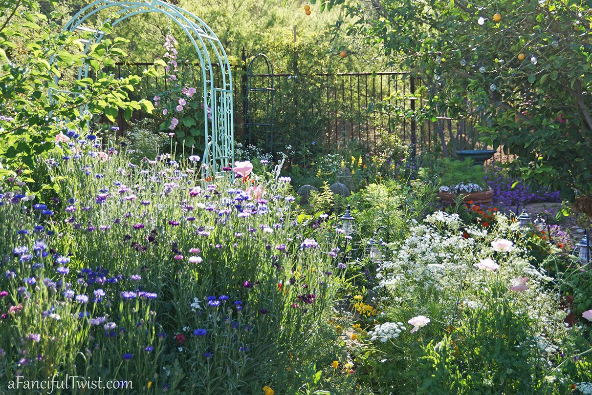 Secret garden 32 Secret garden 32