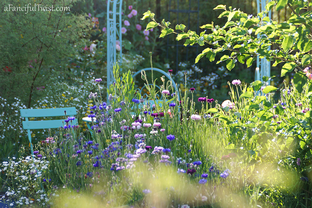 Secret garden 35 Secret garden 35