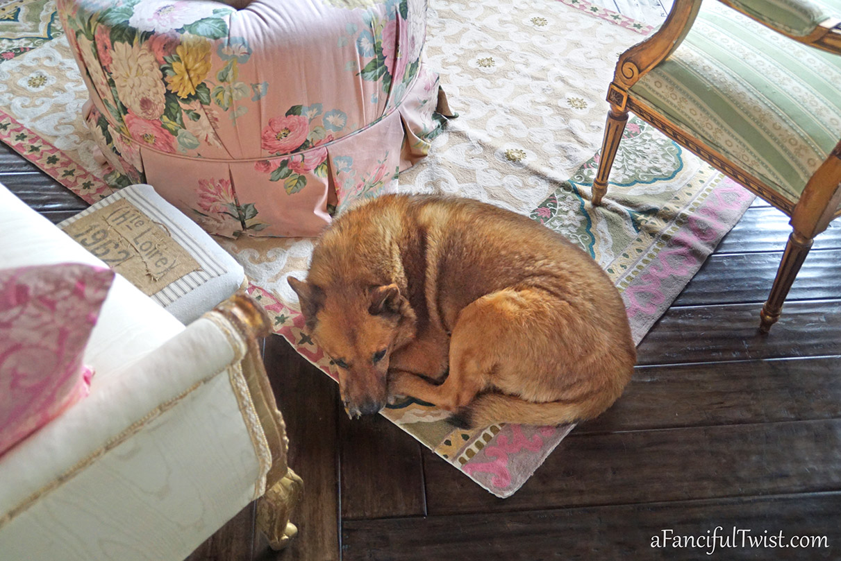 Welcome july 18 Welcome july 18