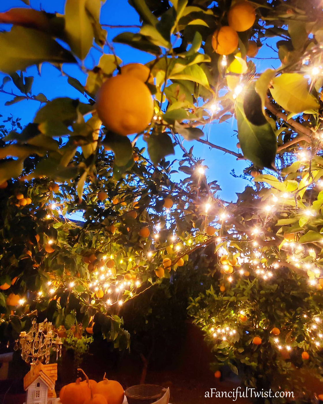 Cozy days 5 Cozy days 5