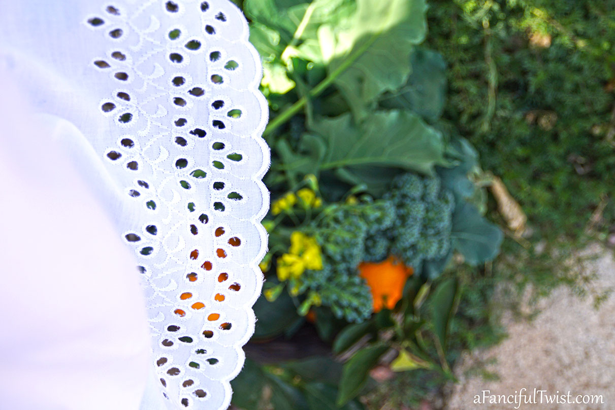 Winter garden 9 Winter garden 9